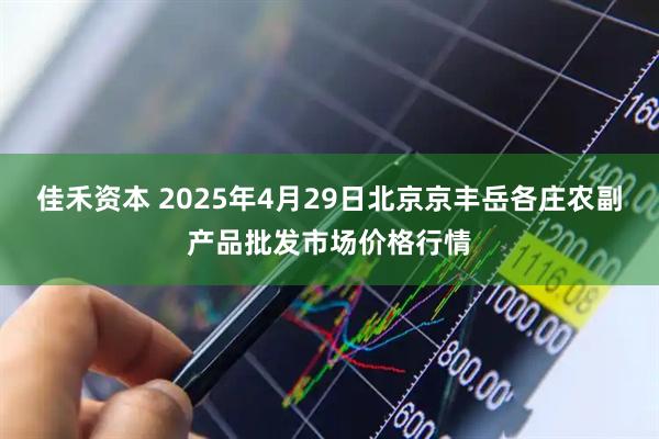 佳禾资本 2025年4月29日北京京丰岳各庄农副产品批发市场价格行情