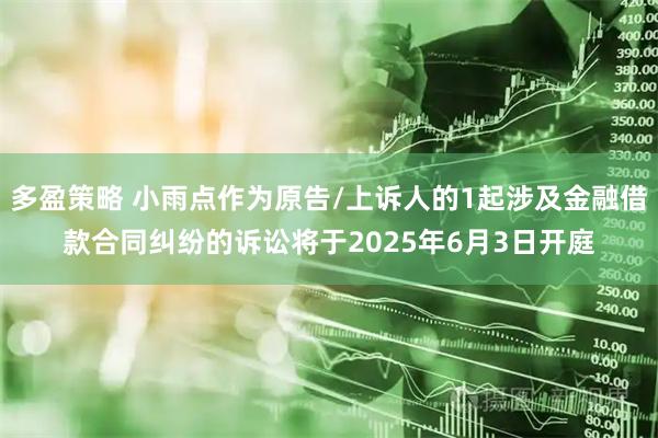 多盈策略 小雨点作为原告/上诉人的1起涉及金融借款合同纠纷的诉讼将于2025年6月3日开庭