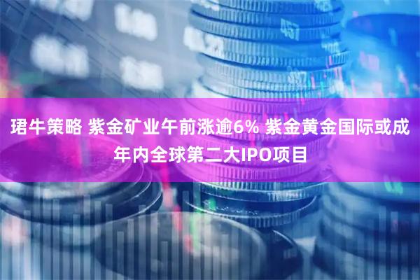 珺牛策略 紫金矿业午前涨逾6% 紫金黄金国际或成年内全球第二大IPO项目