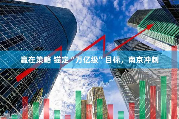 赢在策略 锚定“万亿级”目标，南京冲刺