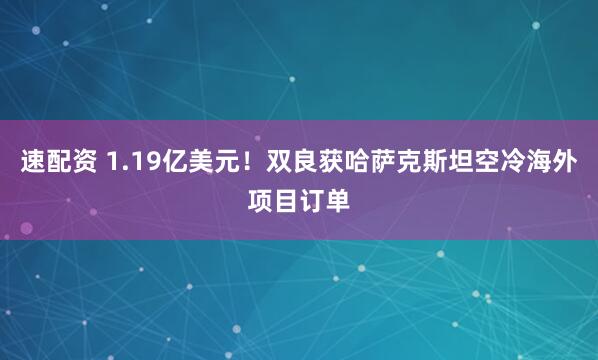 速配资 1.19亿美元！双良获哈萨克斯坦空冷海外项目订单