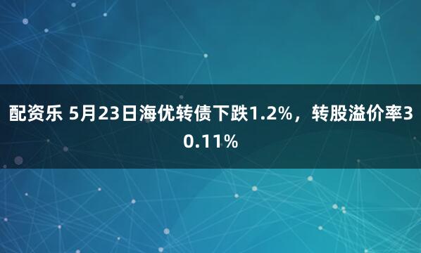配资乐 5月23日海优转债下跌1.2%，转股溢价率30.11%